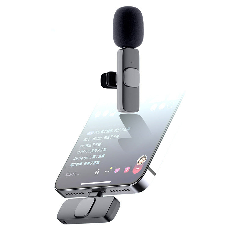 Portable Microphone for Live Interviews, Radio, and Noise Reduction